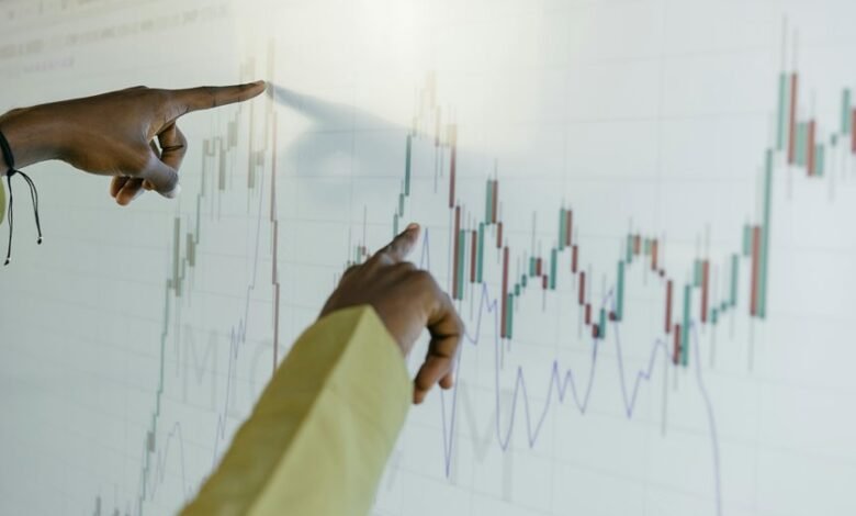 premium sector financial forecast