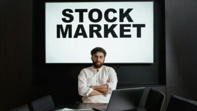 premium sector intelligence analysis